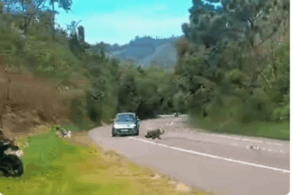 Motociclista de 49 anos morre após perder o controle e colidir com carro na SP-095, em Tuiuti