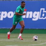 Palmeiras Marlon Freitas