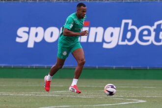 Palmeiras Marlon Freitas
