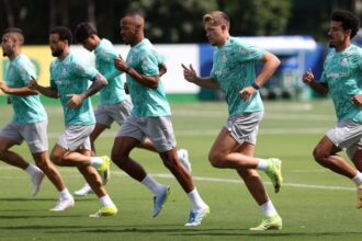 Palmeiras