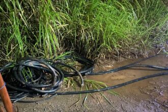 GCM de Mauá prende dois indivíduos por furto de cabos elétricos no Parque São Vicente