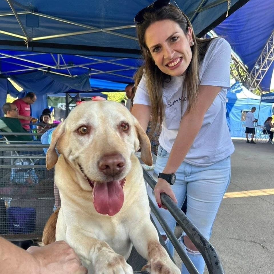 Conquista da vereadora Dra. Ana Veterinária, Santo André conta agora com a Comissão Permanente de Proteção, Bem-estar e Saúde Animal