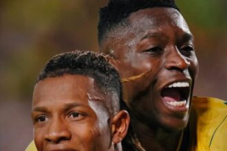 Selecao brasileira