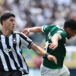Palmeiras Botafogo