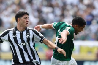 Palmeiras Botafogo