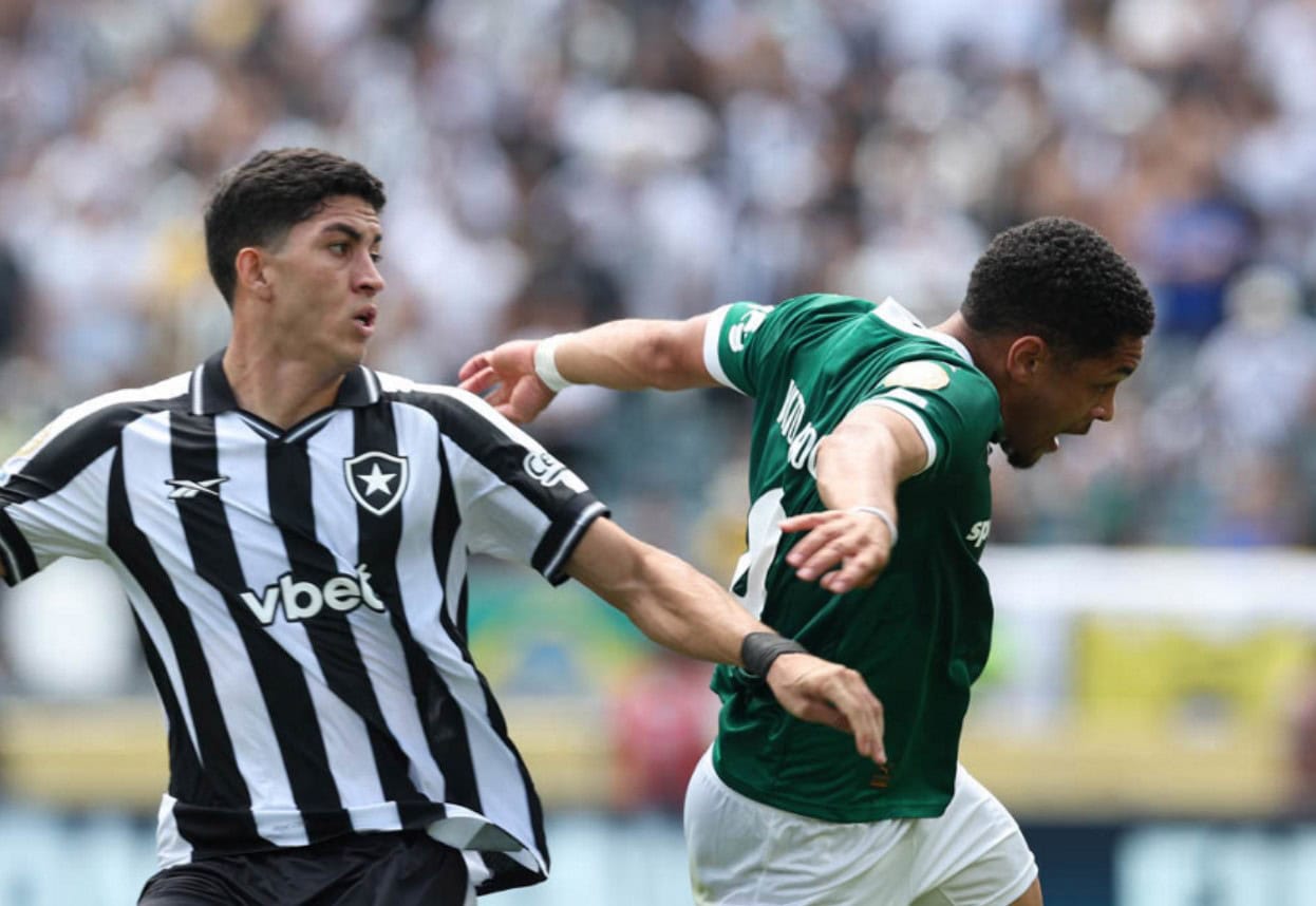 Palmeiras Botafogo
