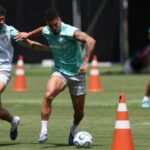 Palmeiras