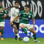 Palmeiras