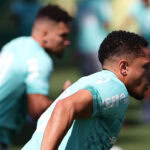 Palmeiras