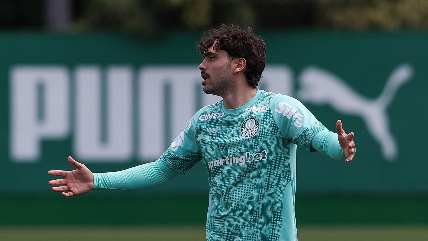 Palmeiras