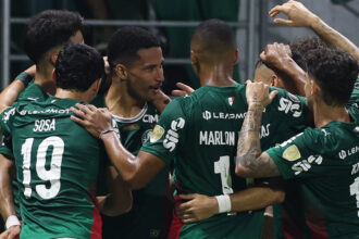 Palmeiras