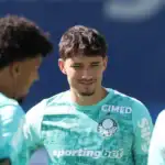 Palmeiras Martinez
