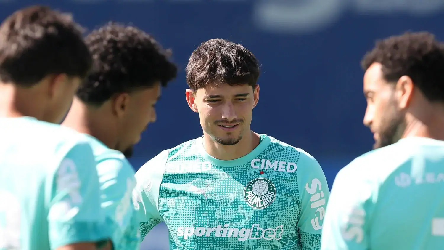 Palmeiras Martinez
