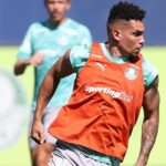 Palmeiras Paulinho