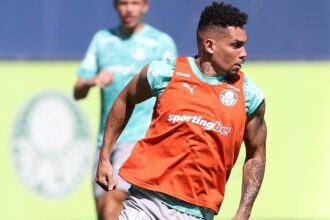 Palmeiras Paulinho