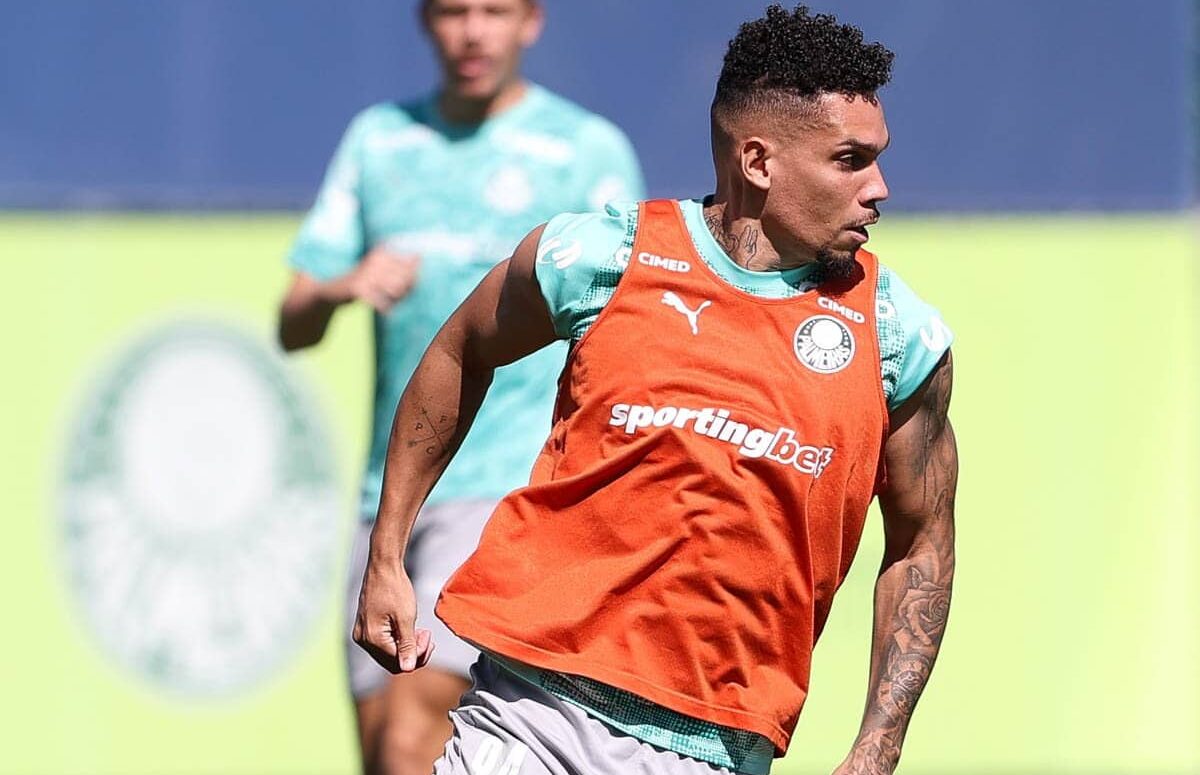 Palmeiras Paulinho