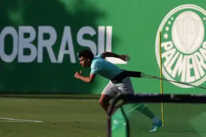 Palmeiras