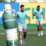 Palmeiras