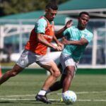 Palmeiras