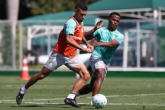 Palmeiras