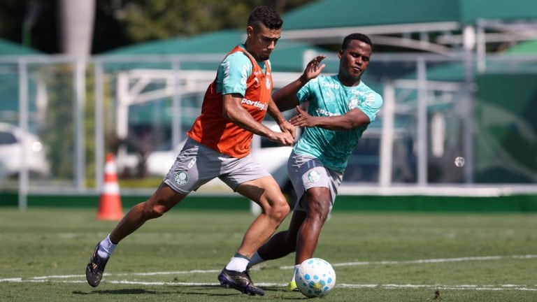 Palmeiras