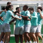 Palmeiras