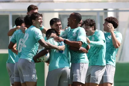 Palmeiras