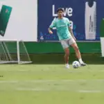Palmeiras