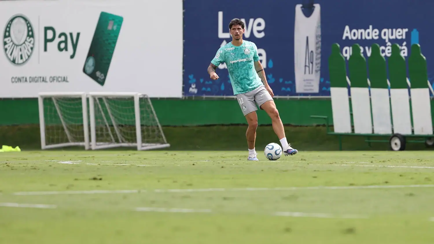 Palmeiras