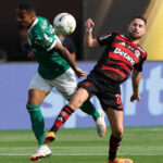Palmeiras