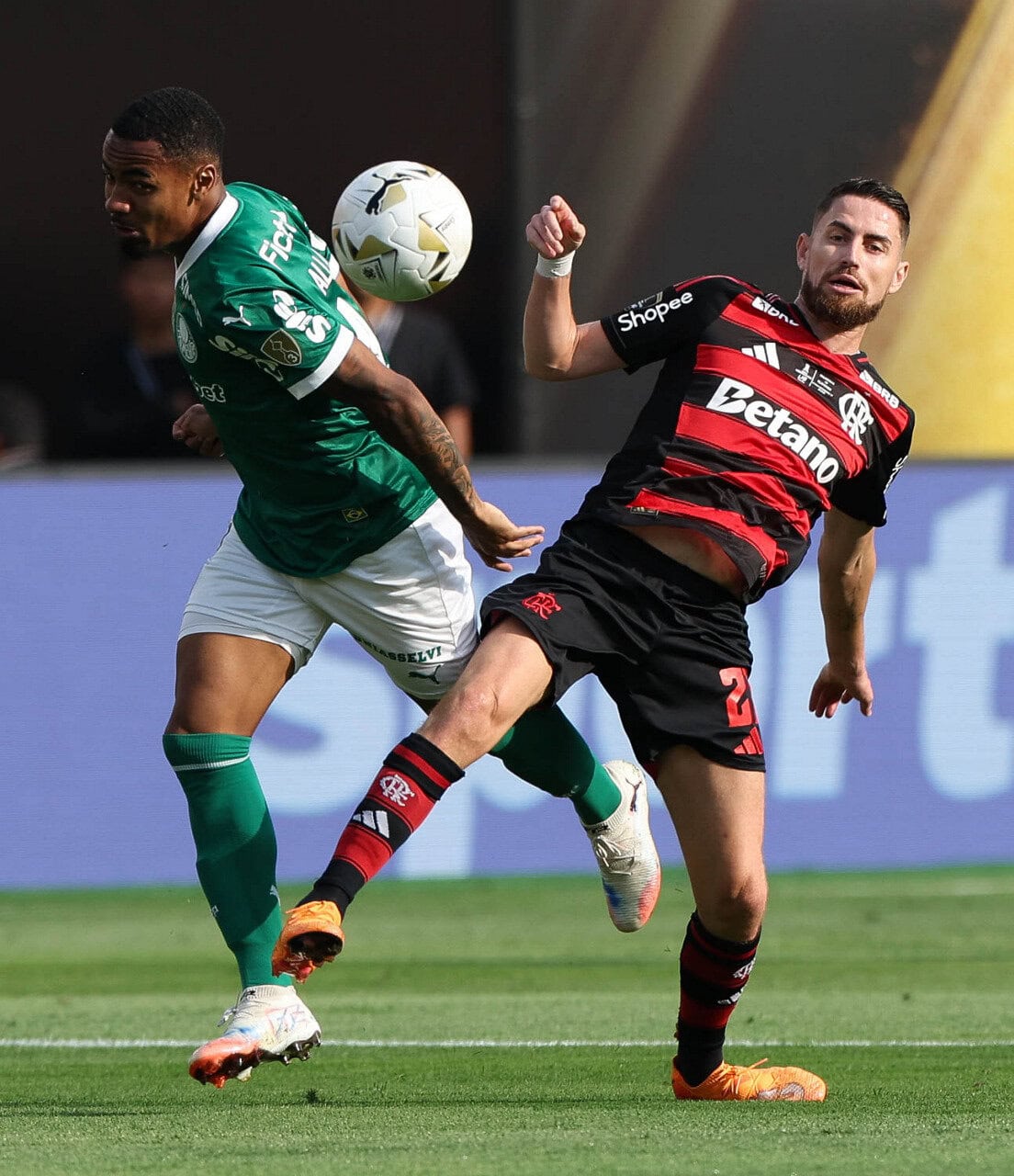 Palmeiras