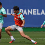 Palmeiras