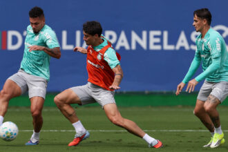 Palmeiras