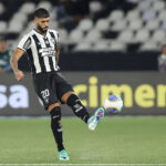 Palmeiras Botafogo Barboza