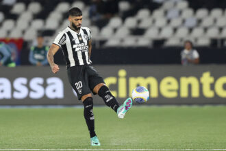 Palmeiras Botafogo Barboza
