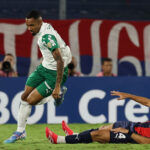 Palmeiras