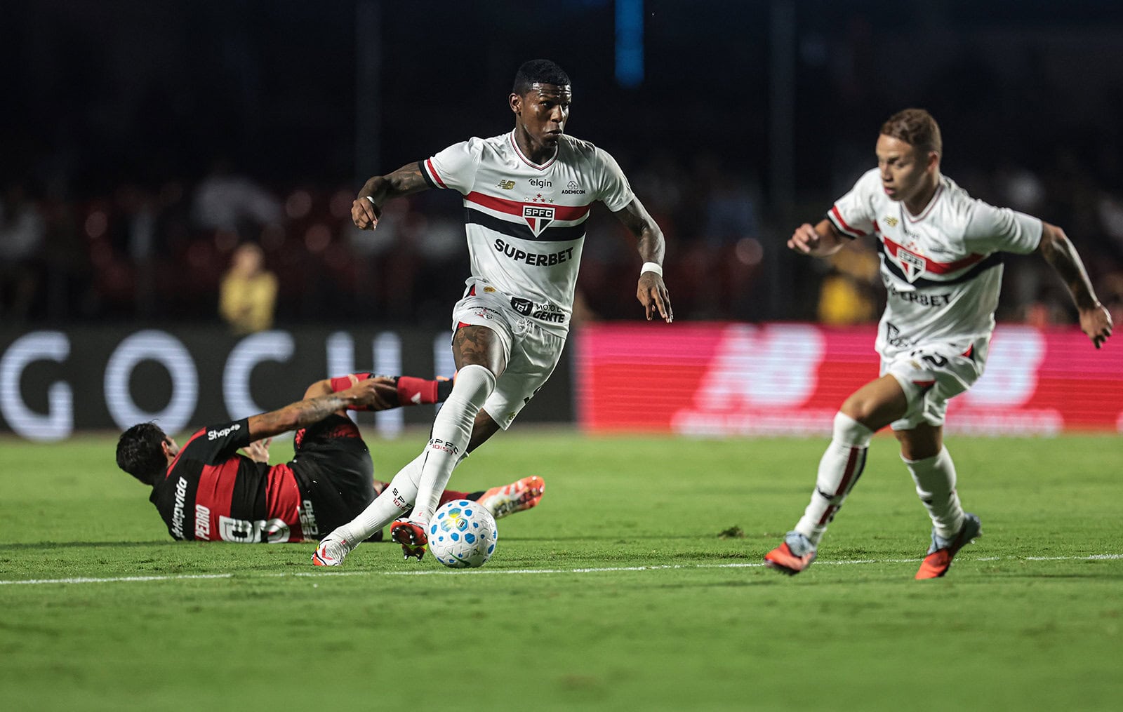 Arboleda são paulo