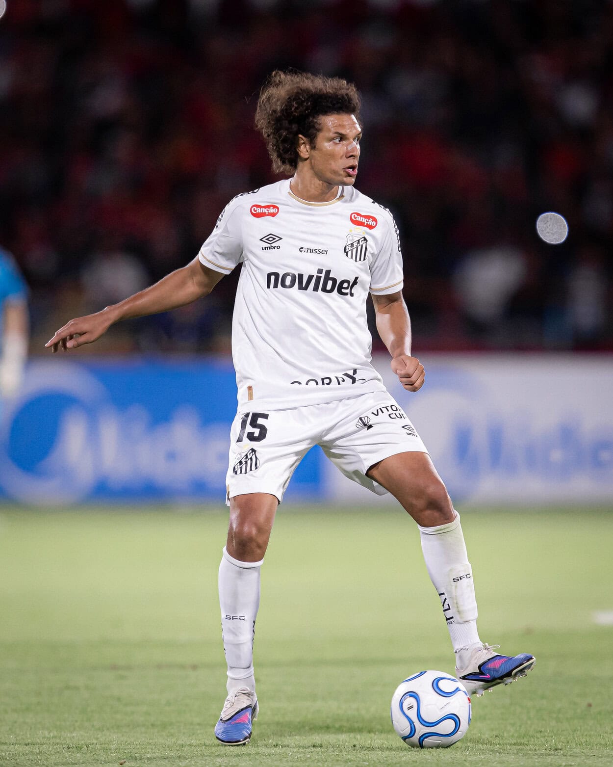 Willian arao