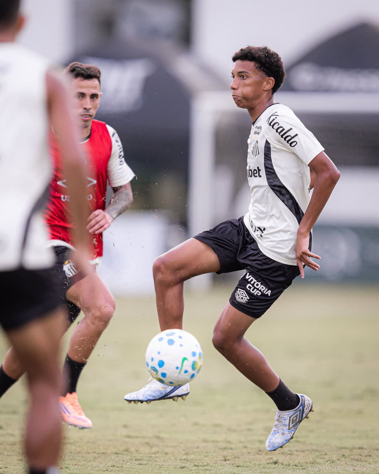 Santos Treino