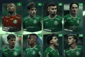 palmeiras