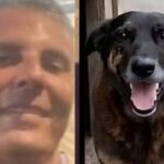 Investigado por coação no caso "Cão Orelha" morre após infarto em Florianópolis