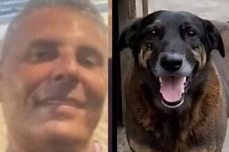 Investigado por coação no caso "Cão Orelha" morre após infarto em Florianópolis