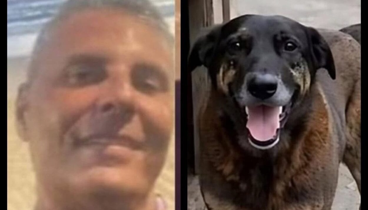 Investigado por coação no caso "Cão Orelha" morre após infarto em Florianópolis