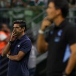 Palmeiras Abel