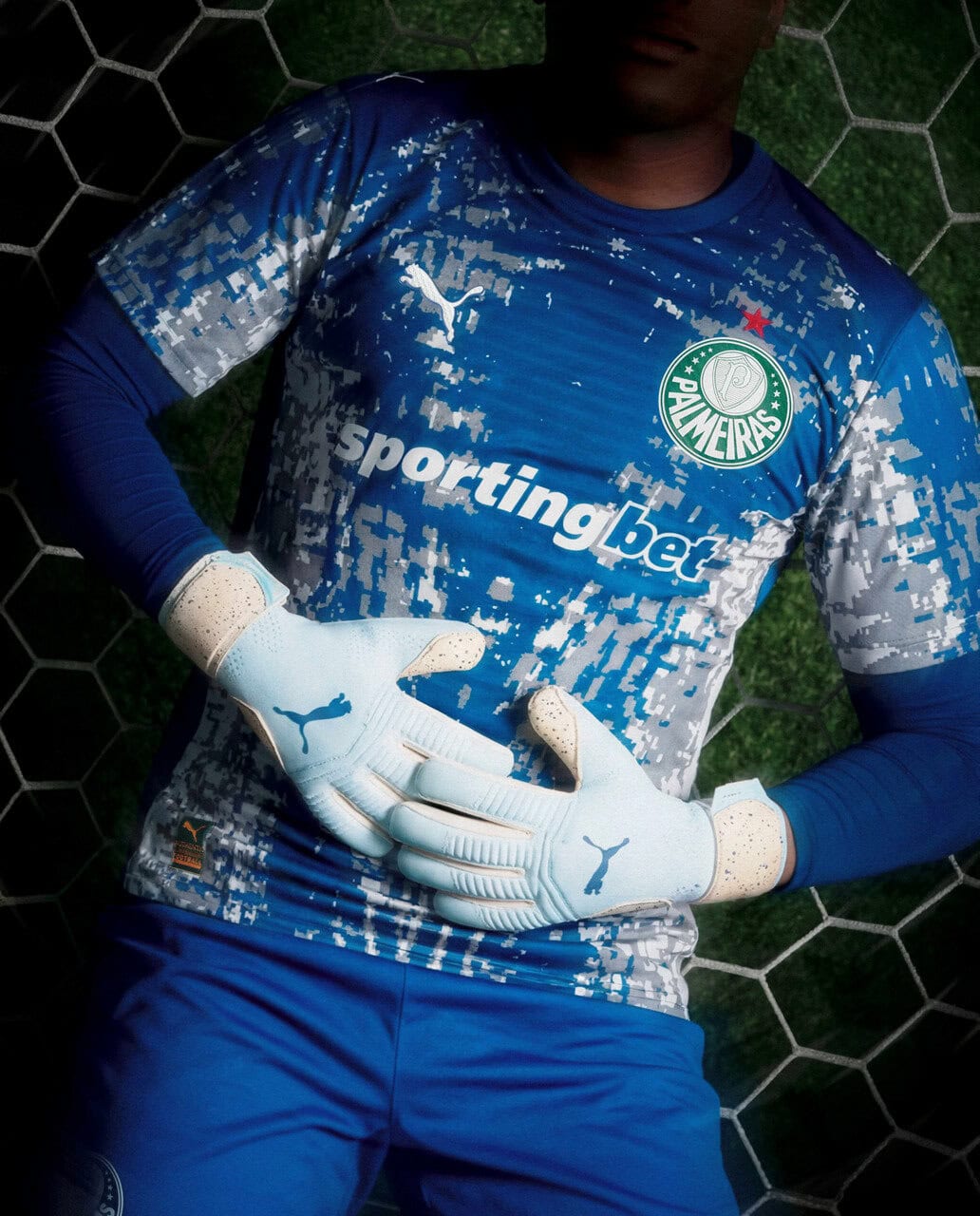 Palmeiras