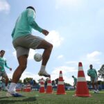 Palmeiras