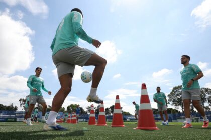 Palmeiras