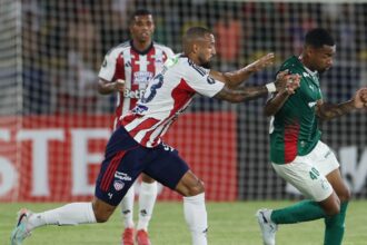 Palmeiras