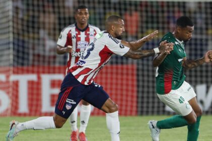 Palmeiras