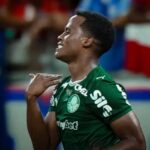Palmeiras arias